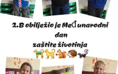 2.b razred obilježio Međunarodni dan zaštite životinja