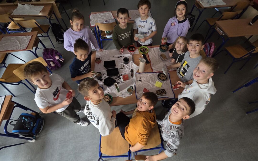 Sadnja pšenice: Tradicija i učenje u 2. b razredu!