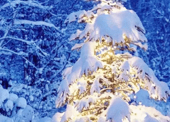 Poziv na Božićnu priredbu