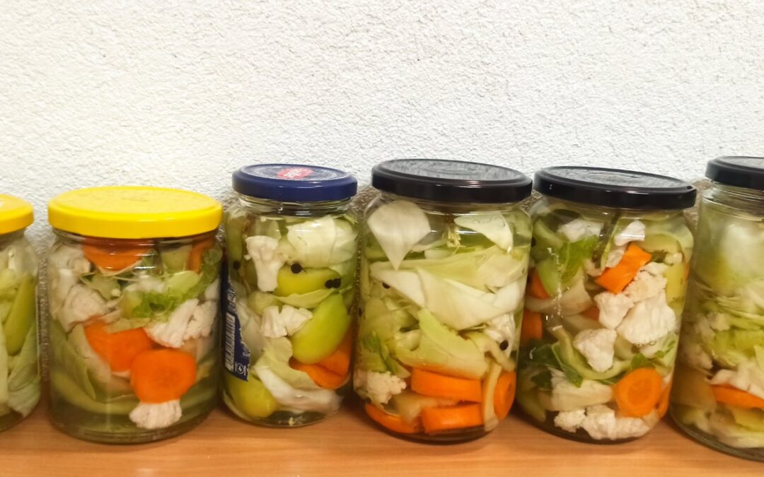 Presjek rada slobodne aktivnosti Domaćinstva u 1. polugodištu…