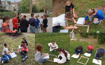 Četvrtaši istražuju živi svijet travnjaka